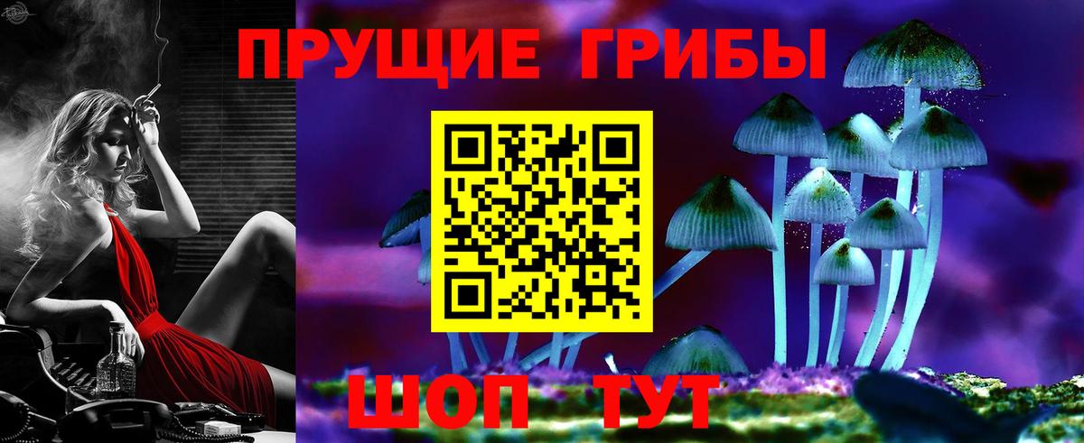 где найти   Псилоцибиновые грибы GOLDEN TEACHER  Вход с VPN  Луга 